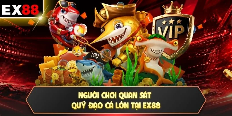 Đạn Laser - 3 Cách Kết Hợp Tia Bắn Với Mục Tiêu Khủng 3 Người chơi quan sát quỹ đạo cá lớn tại EX88